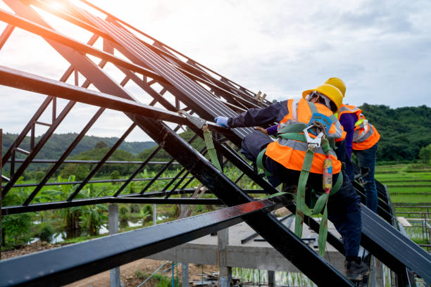 Best Metal Roofing Contractor  in Carlisle, OH