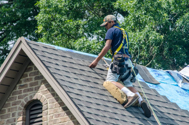 Best Roof Gutter Cleaning  in Carlisle, OH